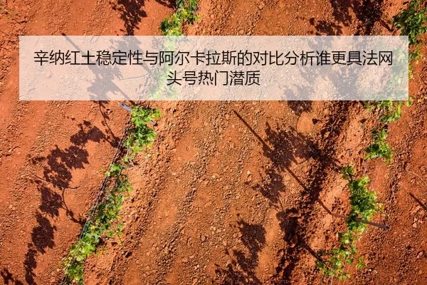 辛纳红土稳定性与阿尔卡拉斯的对比分析谁更具法网头号热门潜质