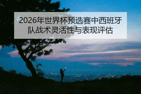 nian-shi-jie-bei-yu-xuan-sai-zhong-xi-ban-ya-dui-zhan-shu-ling-huo-xing-yu-biao-xian-ping-gu-2-954.jpg