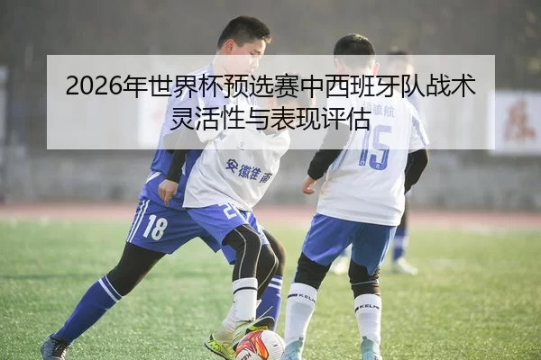 2026年世界杯预选赛中西班牙队战术灵活性与表现评估