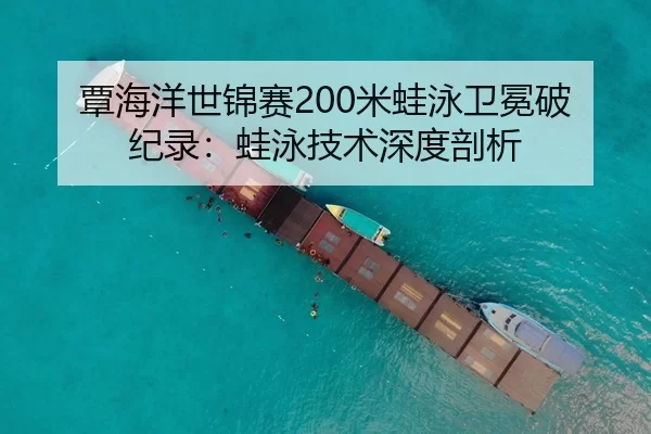 覃海洋世锦赛200米蛙泳卫冕破纪录：蛙泳技术深度剖析