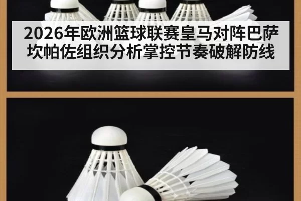 2026年欧洲篮球联赛皇马对阵巴萨坎帕佐组织分析掌控节奏破解防线